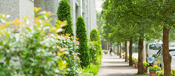 会社案内・アクセス